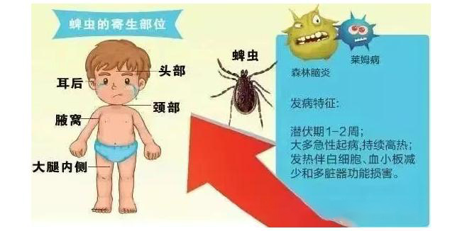 图片1.jpg625-3.jpg