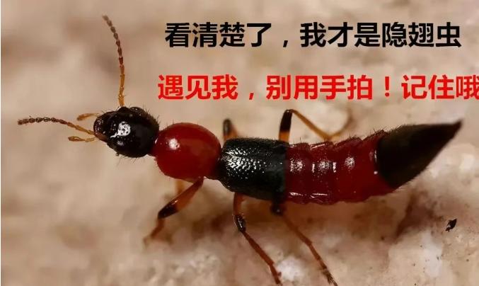 图片1.jpg625-4.jpg